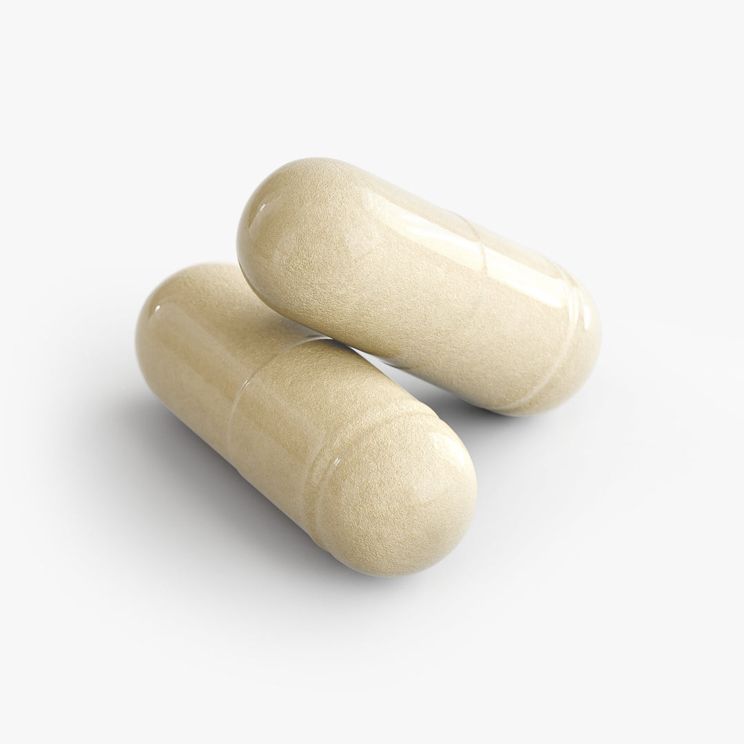 Apple Cider Vinegar Capsules – Gut Health Formula