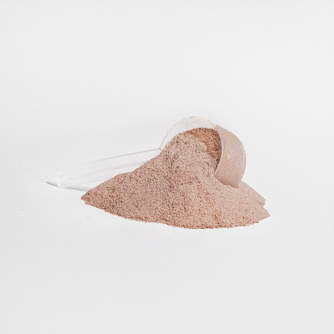 Chocolate Grass-Fed Collagen Peptides Powder